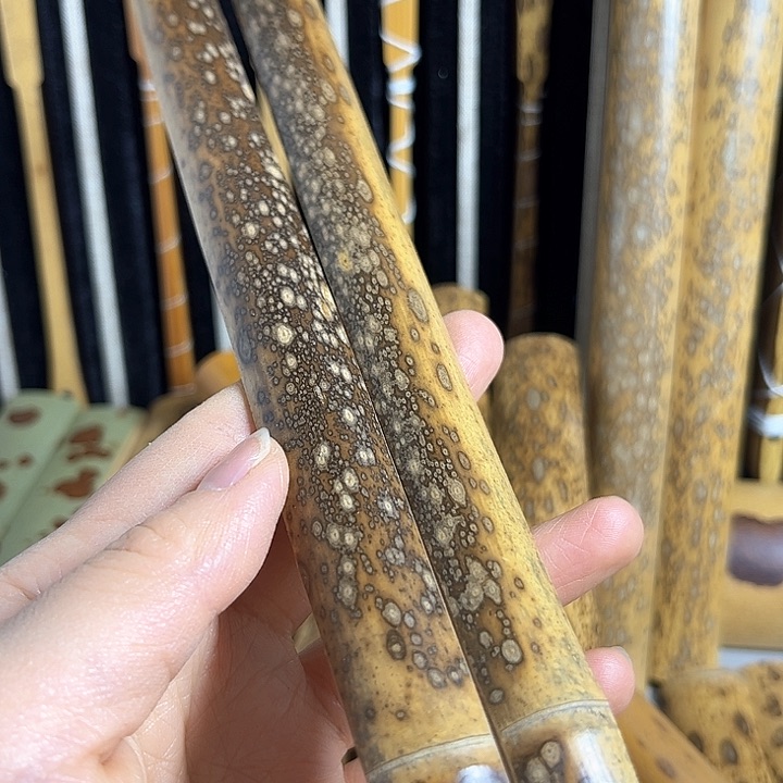 扇子带节黑底白花可做足尺秋扇