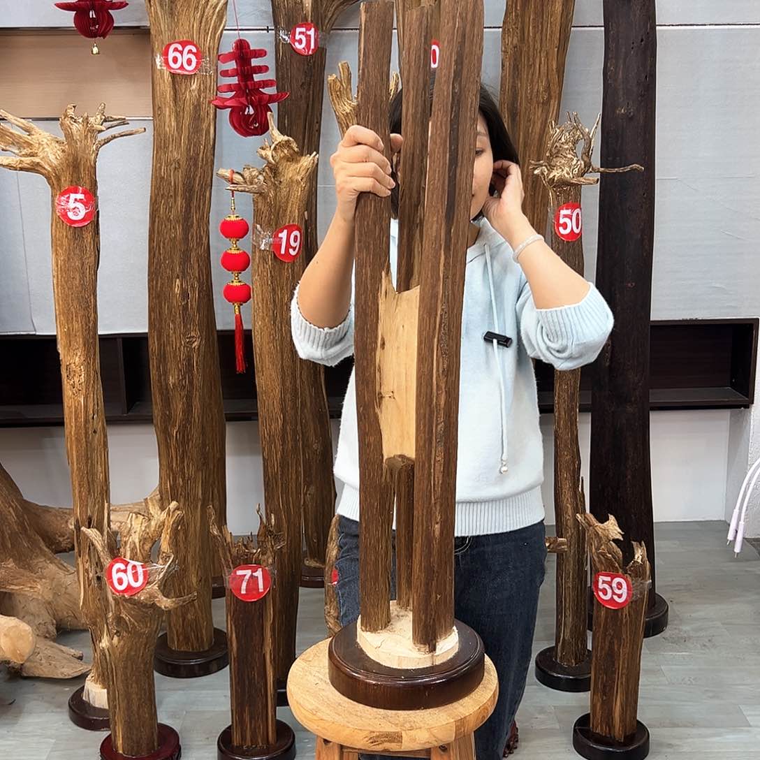 沉香摆件海南沉香摆件