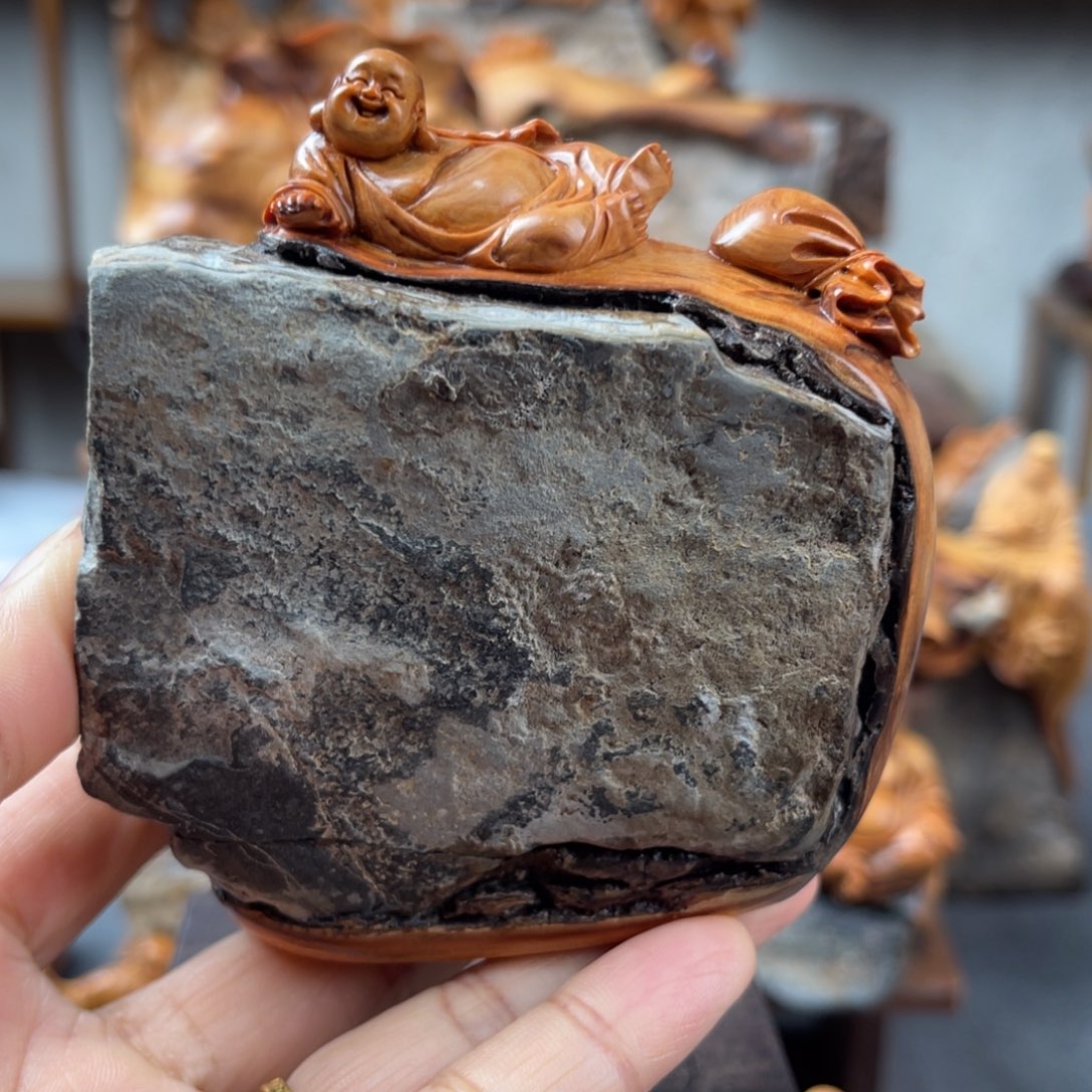 柏木（崖柏）崖柏太行山脉