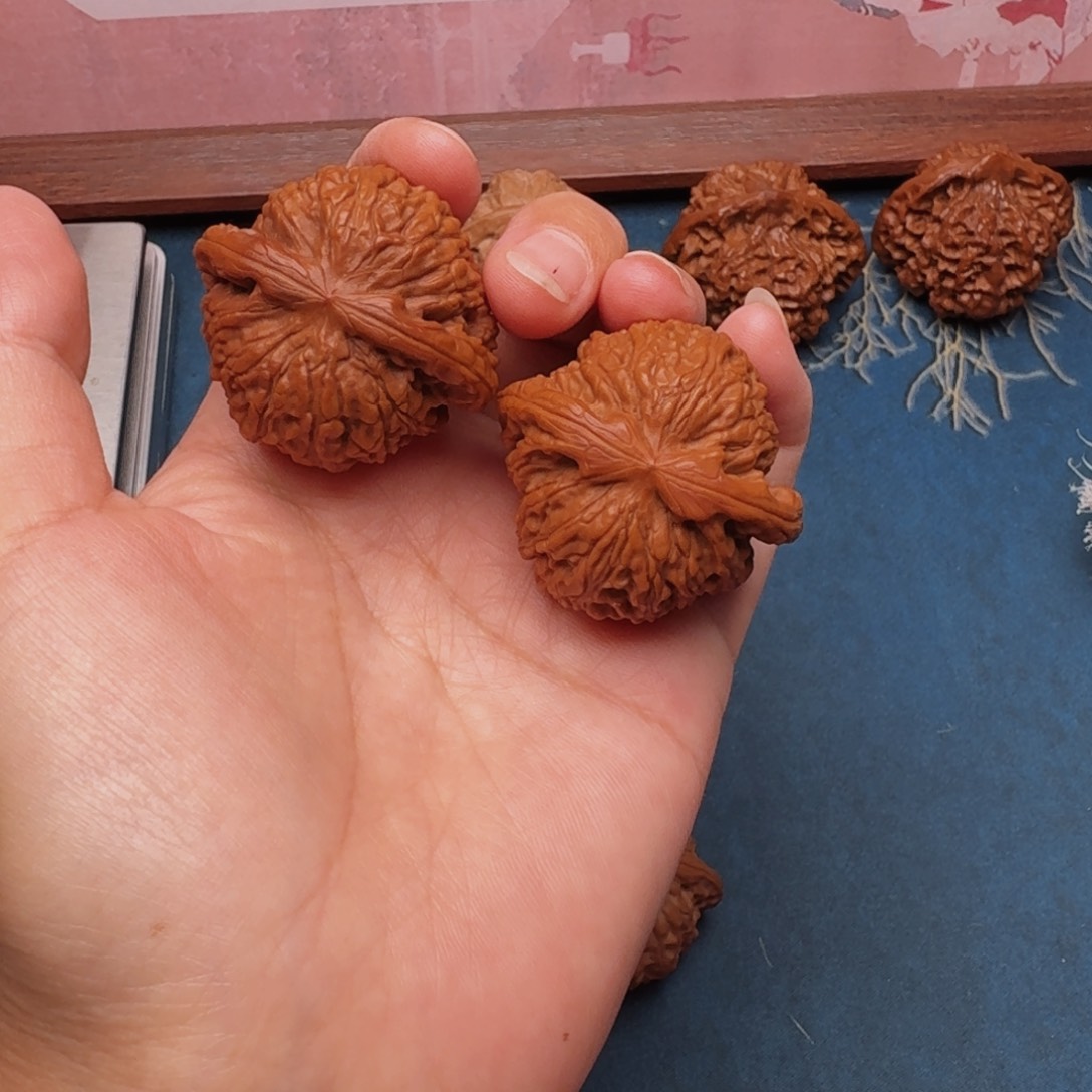 文玩核桃把件1白狮子42尺