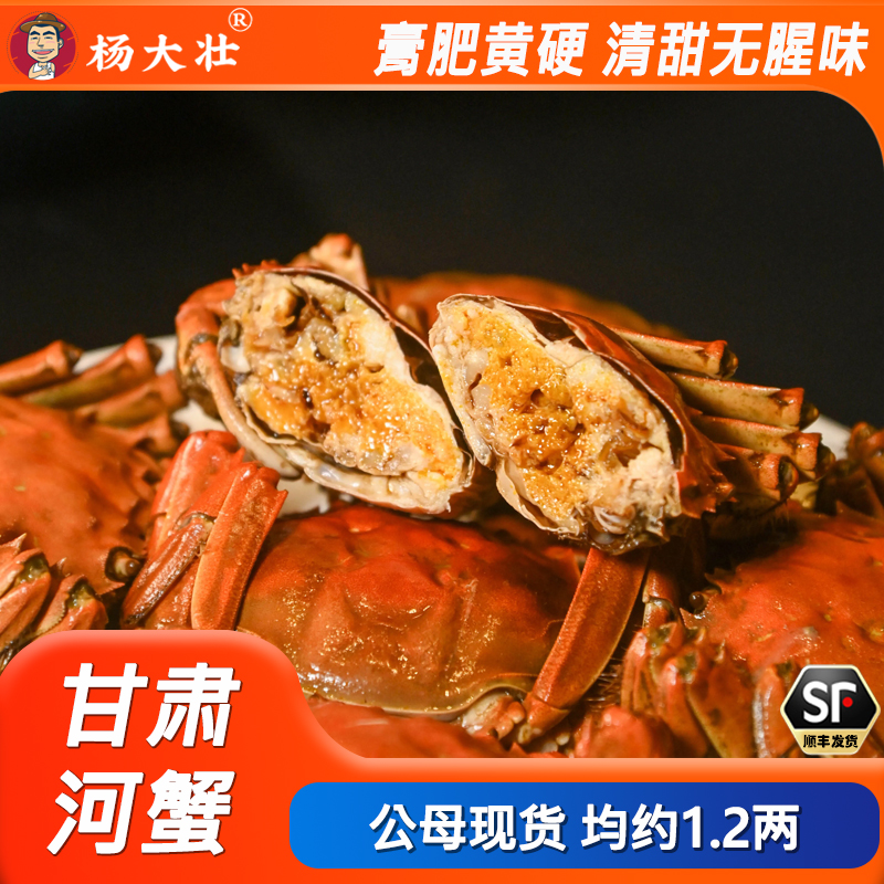 甘肃螃蟹均约1.2两现货甜螃蟹公母2斤/3斤河蟹顺丰发货清甜