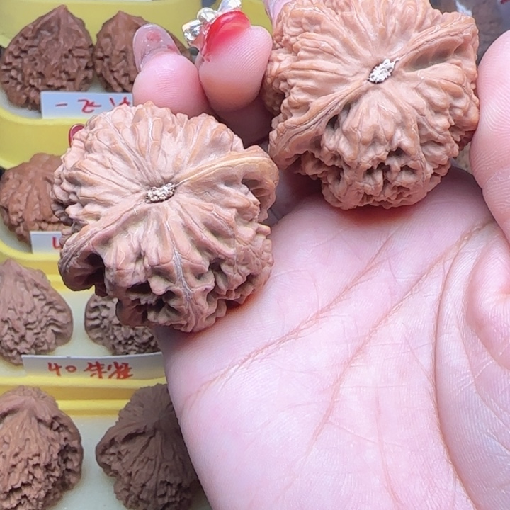 爱***李弯弯核桃大抽筋弯弯核桃