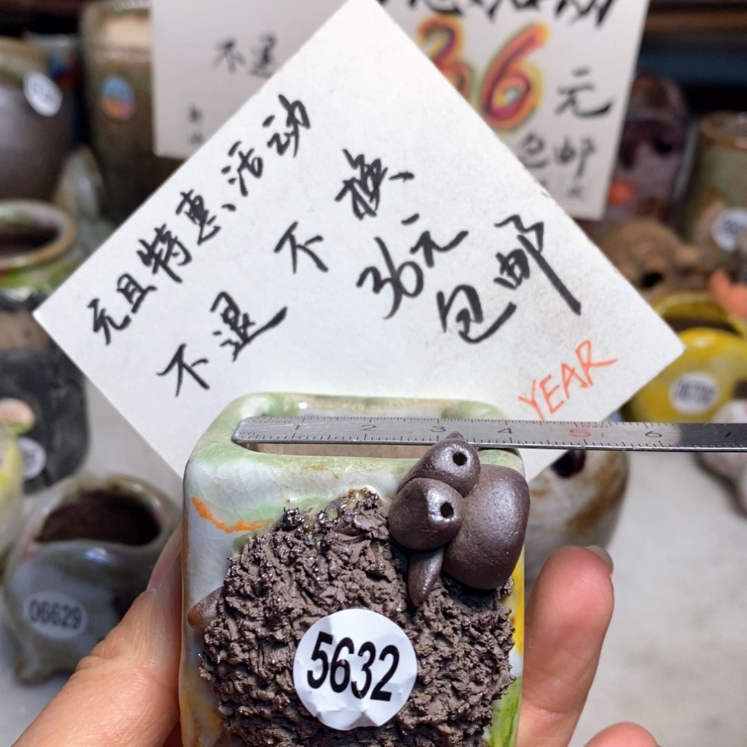 花盆特价不退不换的，原价78