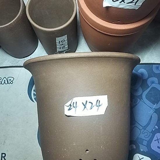 特大金钟一个花盆