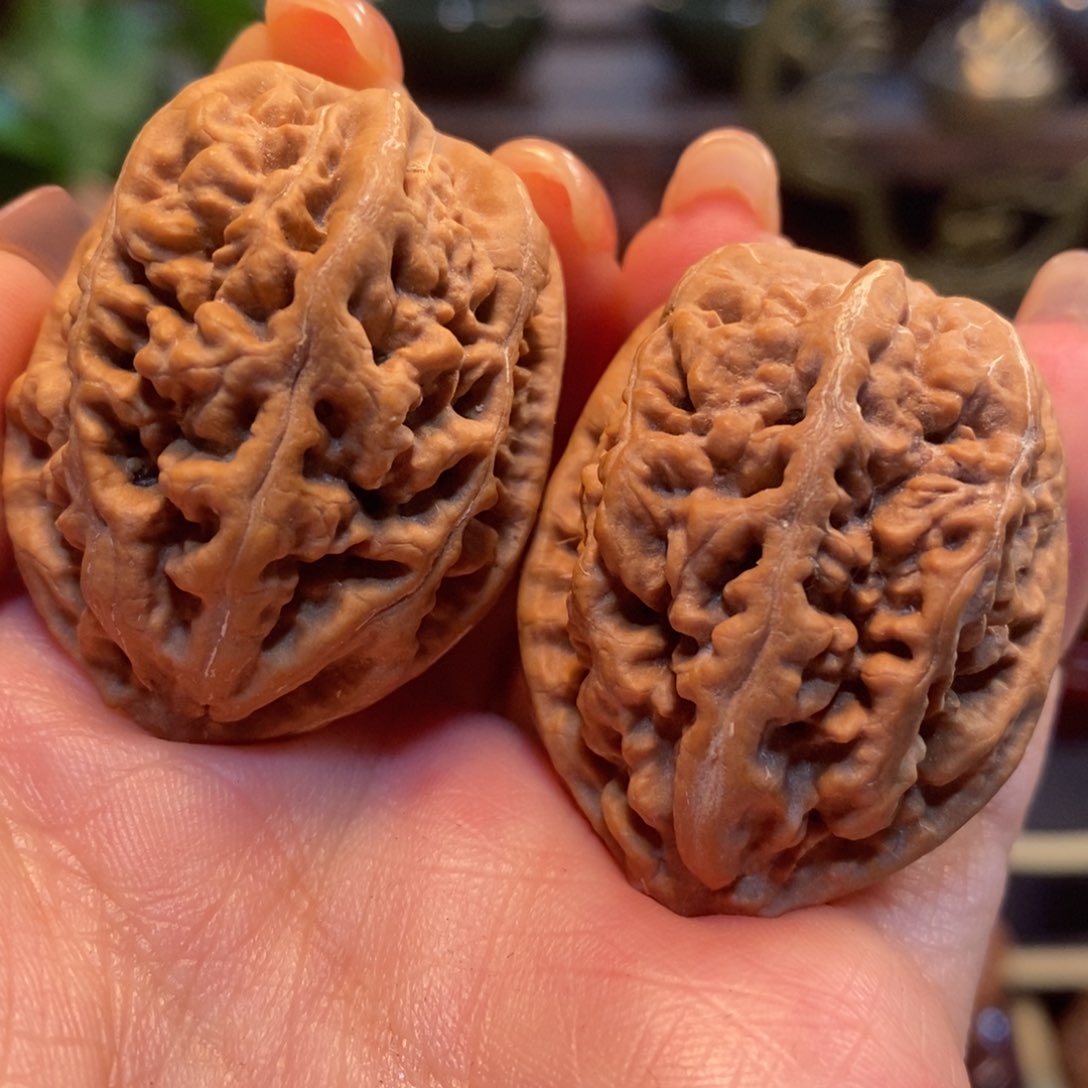 文玩核桃吊坠老树珊瑚纹34