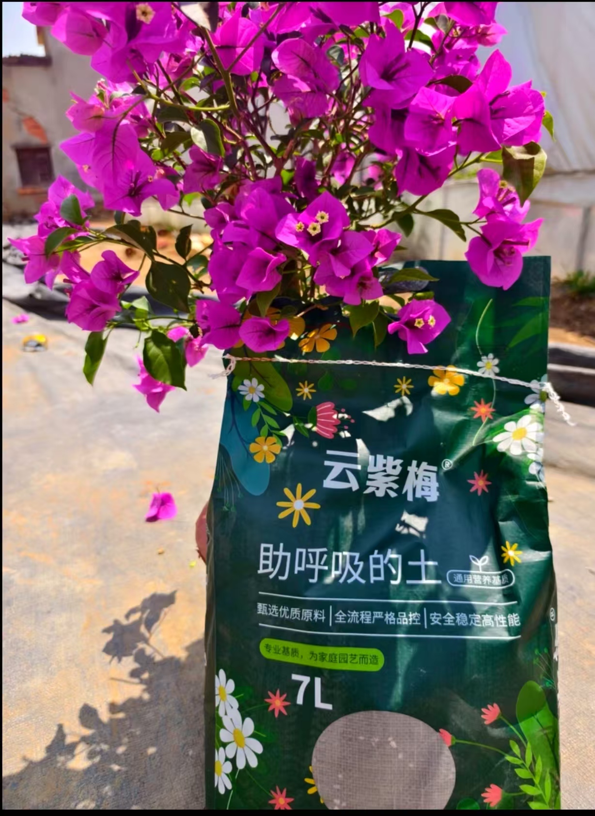 三角梅专用土通用型花卉绿植营养土