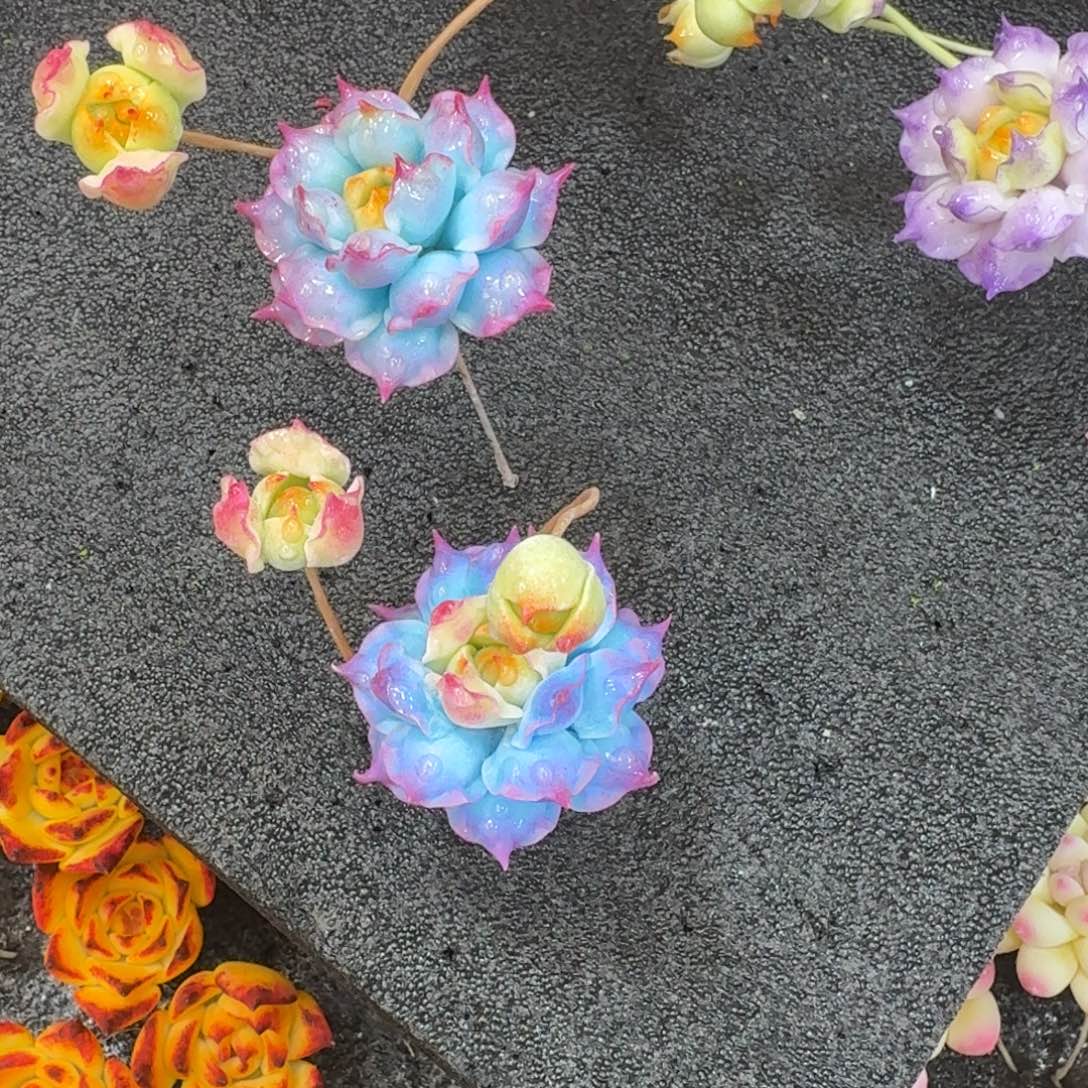 树脂802号哦哦哦哦哦哦哦