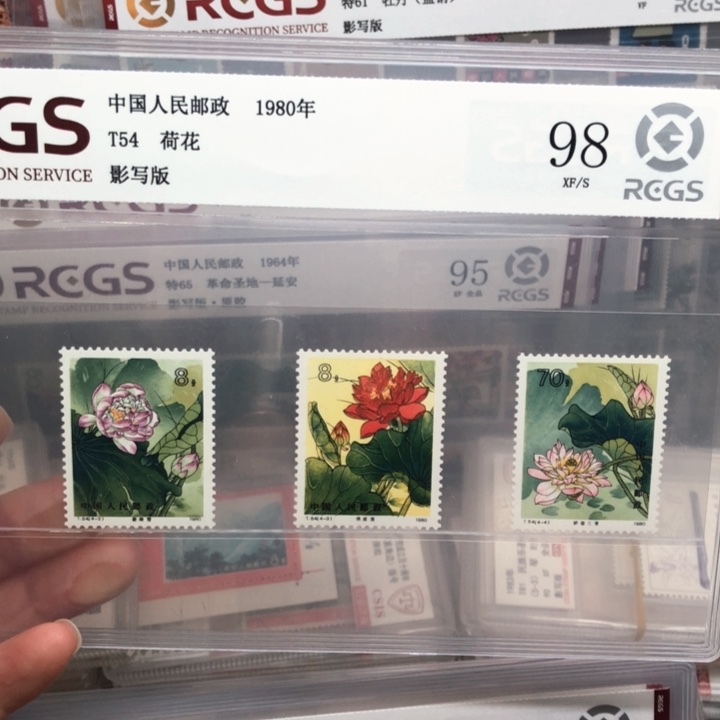 T54荷花邮票98分