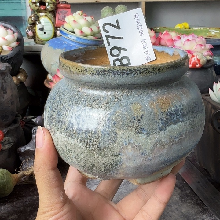 重庆小燕子欢迎大家972