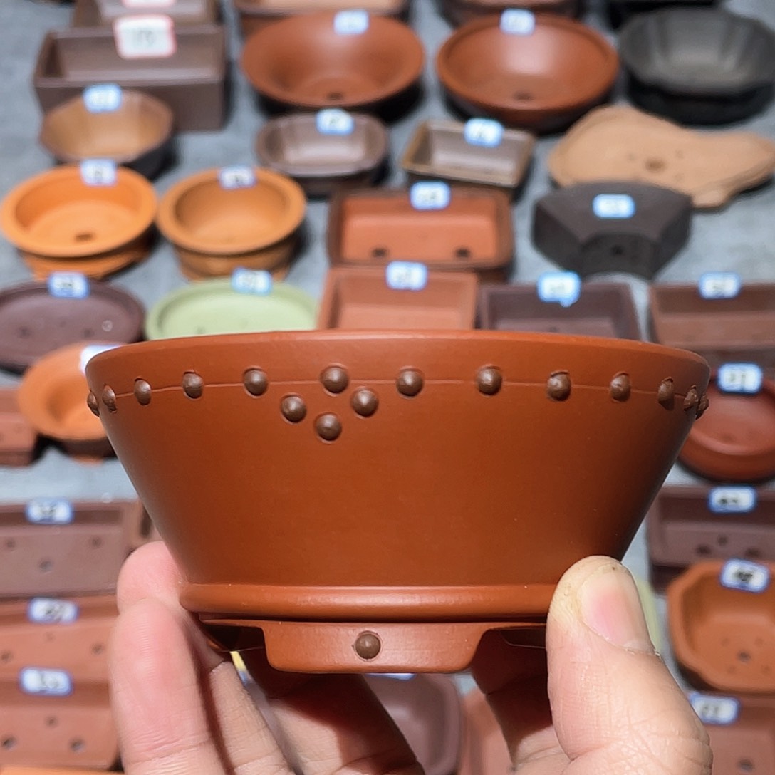 紫砂紫砂小盆10*4