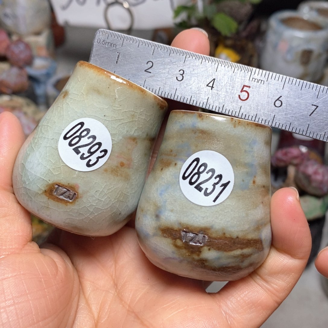 包****F花盆拍5送一个小礼物