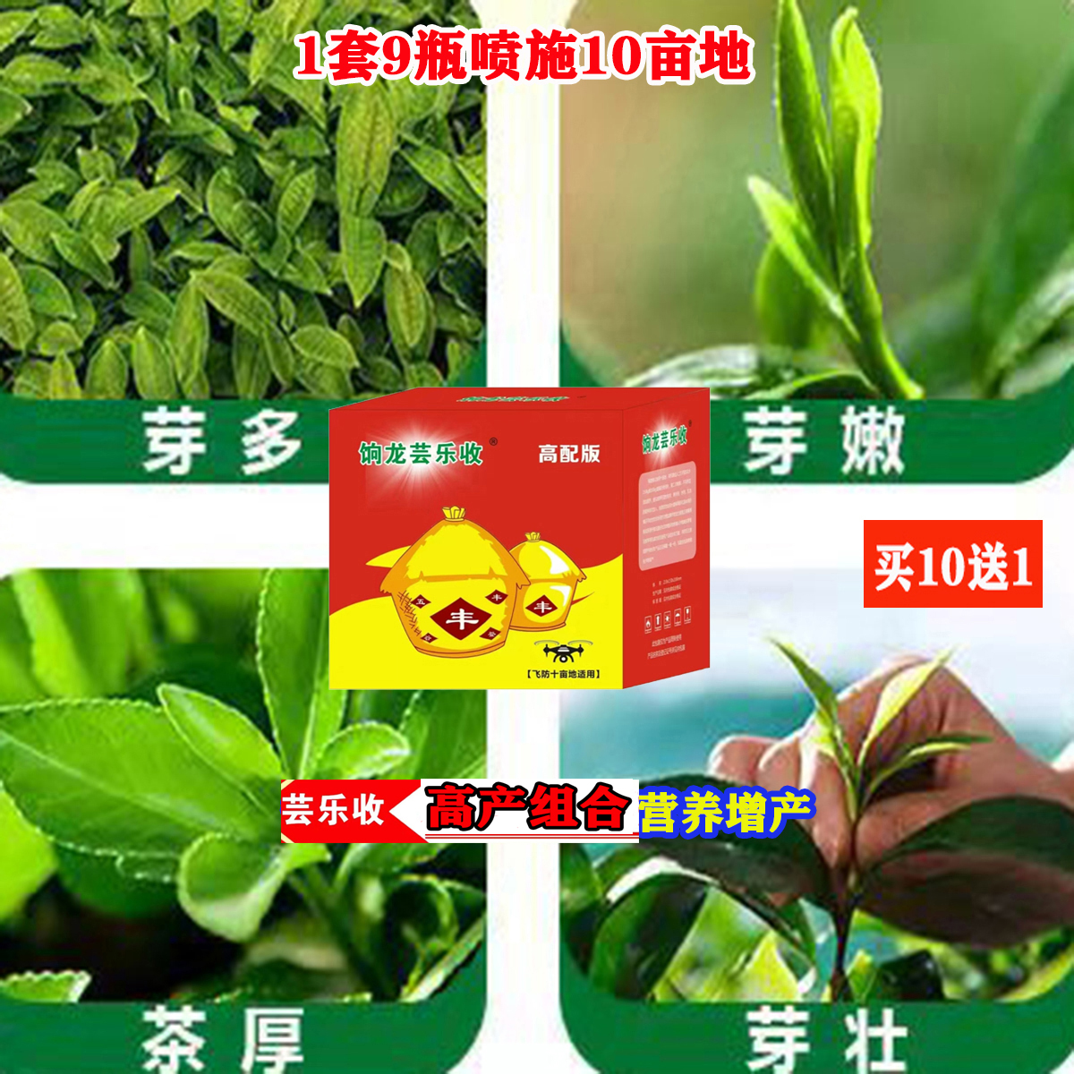 茶叶茶树芸乐收高产组合9瓶10亩一喷三防早快发芽多发芽叶面肥料