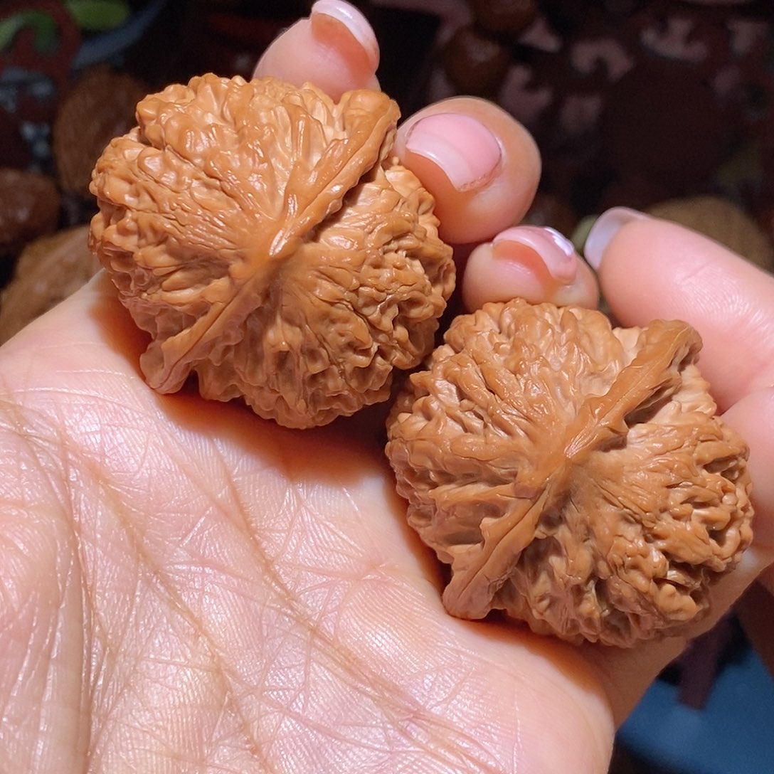 文玩核桃把件40金牛