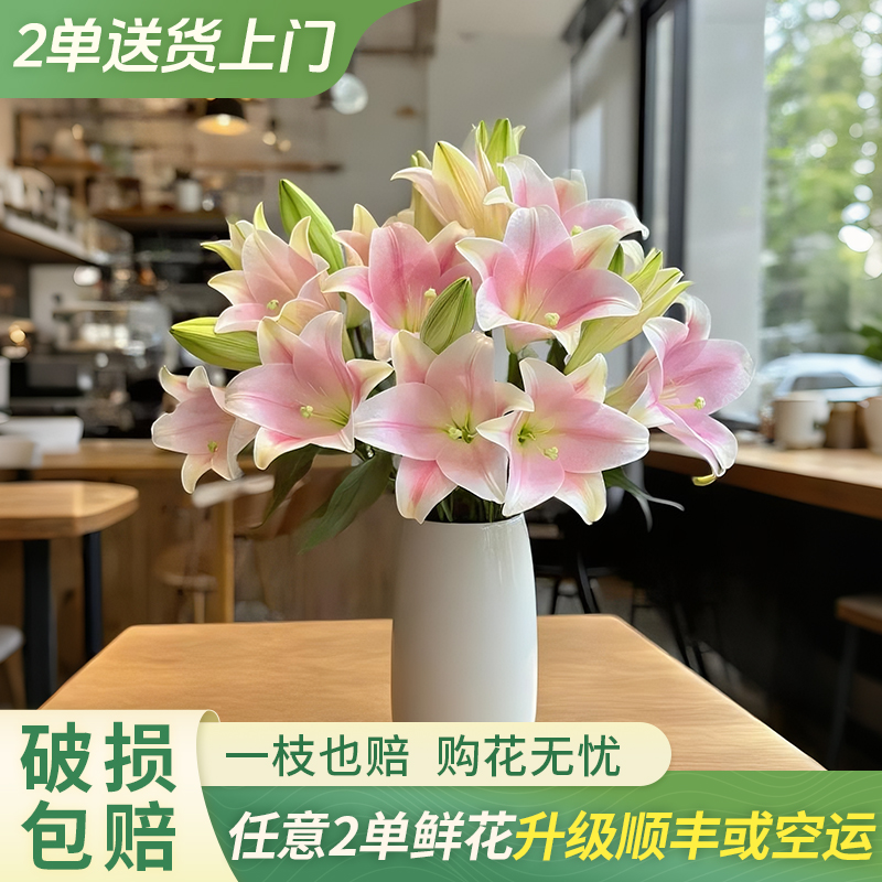 【大聪明卖花】粉铁炮百合-任意2单鲜花升级快递云南直发鲜花