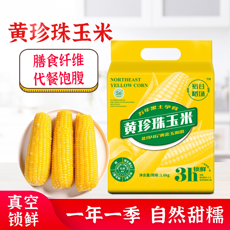 东北黄珍珠甜糯玉米3小时锁鲜北纬46度黑土地种植1.6kg