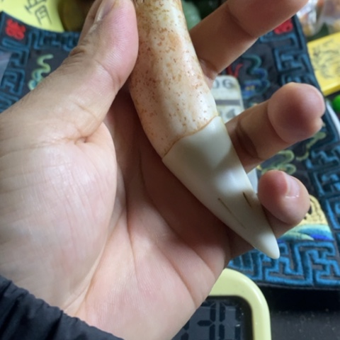 陶官方链接放心拍