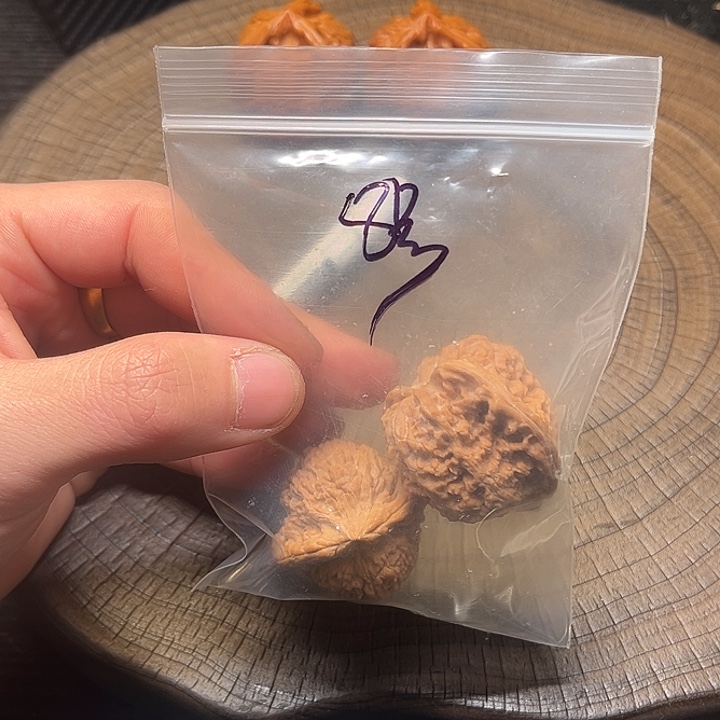 柏香籽/百香籽吊坠特特特特