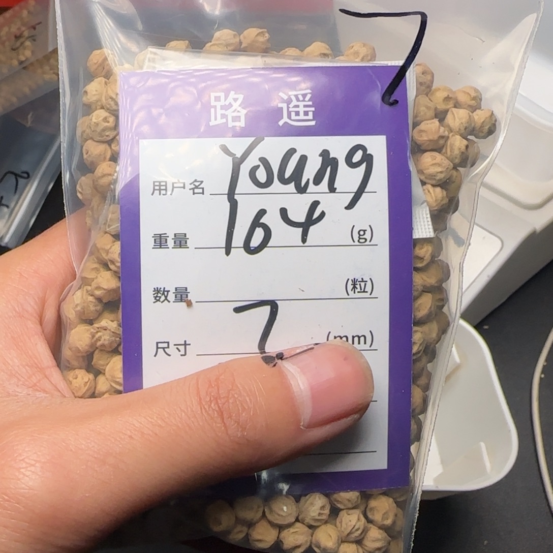 Y***G柏香籽/百香籽吊坠