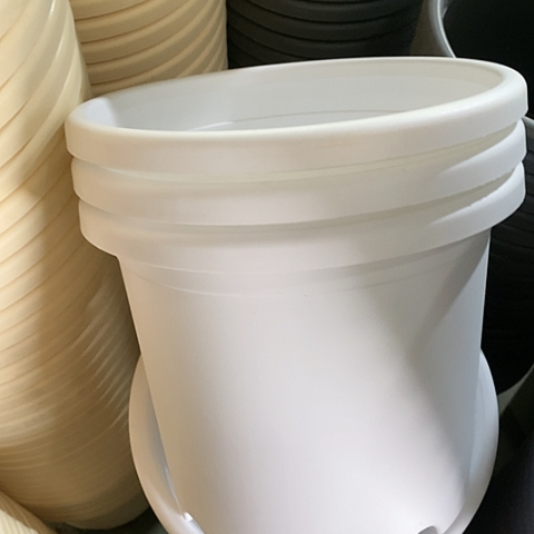 树脂四季5号3个白色带托