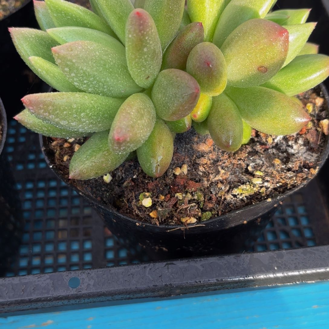 Jvkjvjhvjhvjjvjjvjkvkjnn