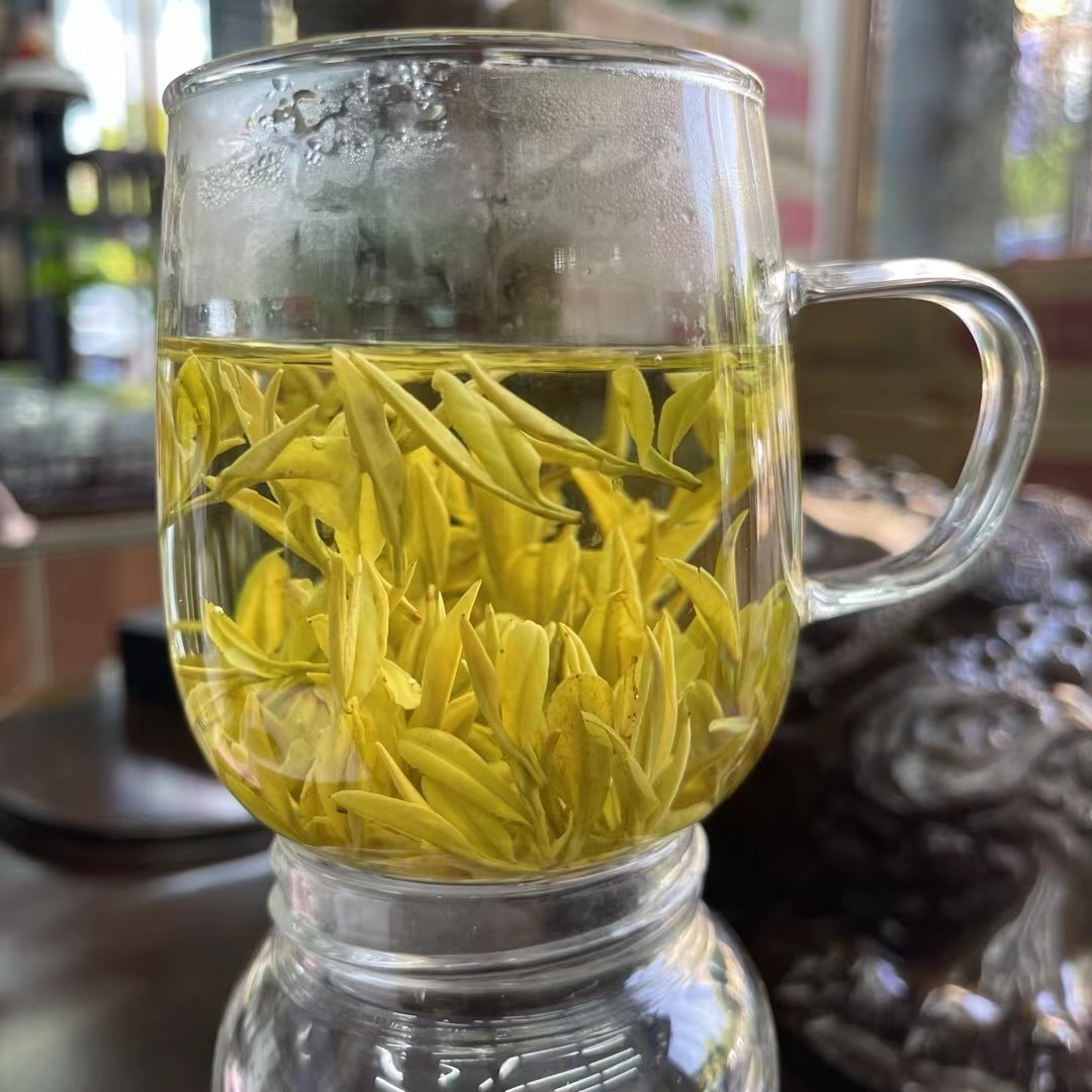 柯坦老季家茶黄茶 头春头采