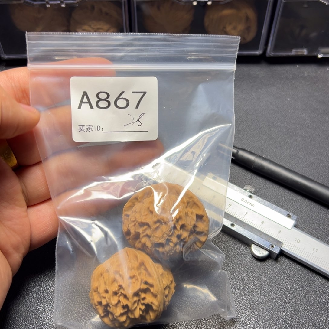 把件核桃哈哈哈哈