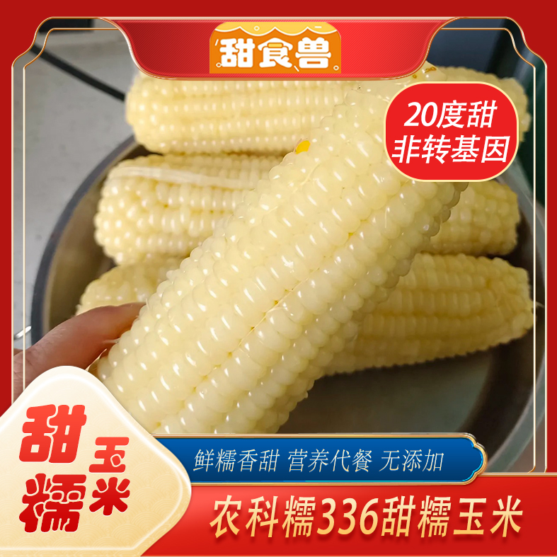 3斤 336 甜糯玉米