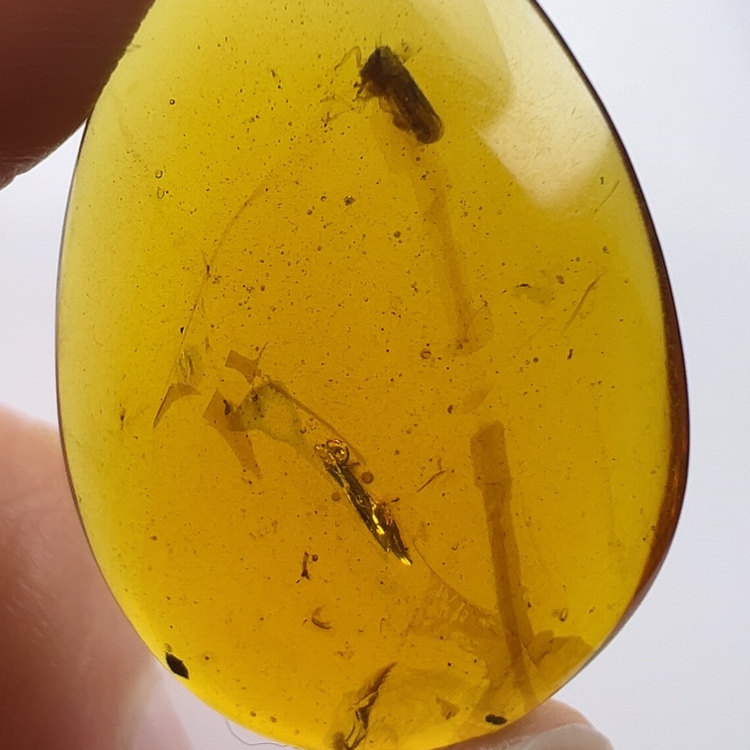 琥珀未镶嵌裸石琥珀虫珀