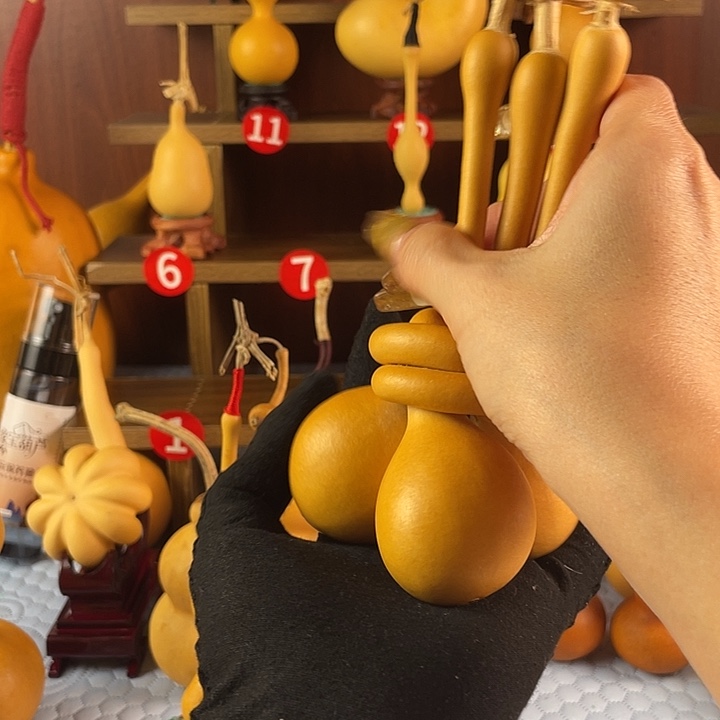 赵***丽遂成书者皆可读为诗一作此