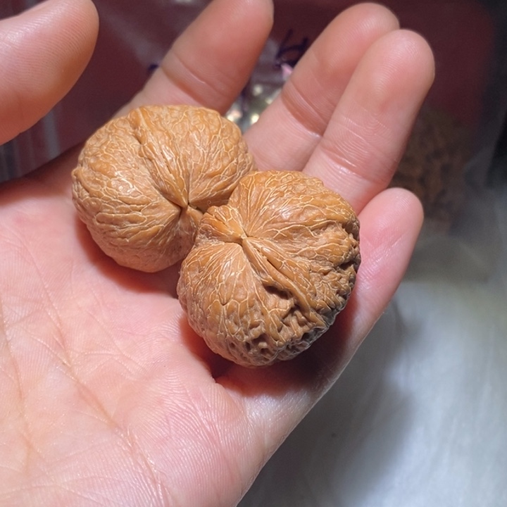 安***柠吊坠文玩核桃精品课程和专业培训教材以及