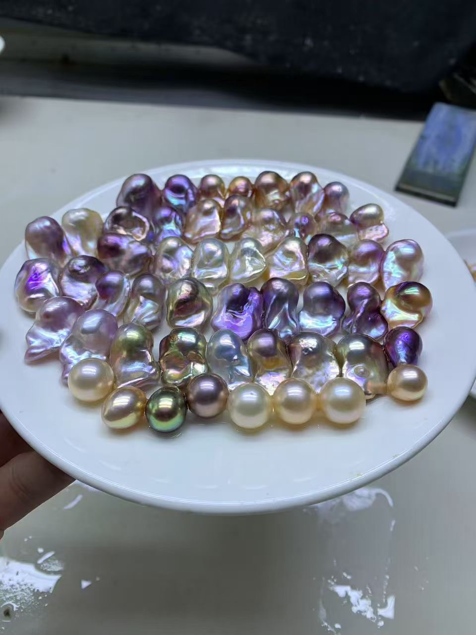 辉煌超巴79开1（活体开蚌不退不换）可diy定制成品