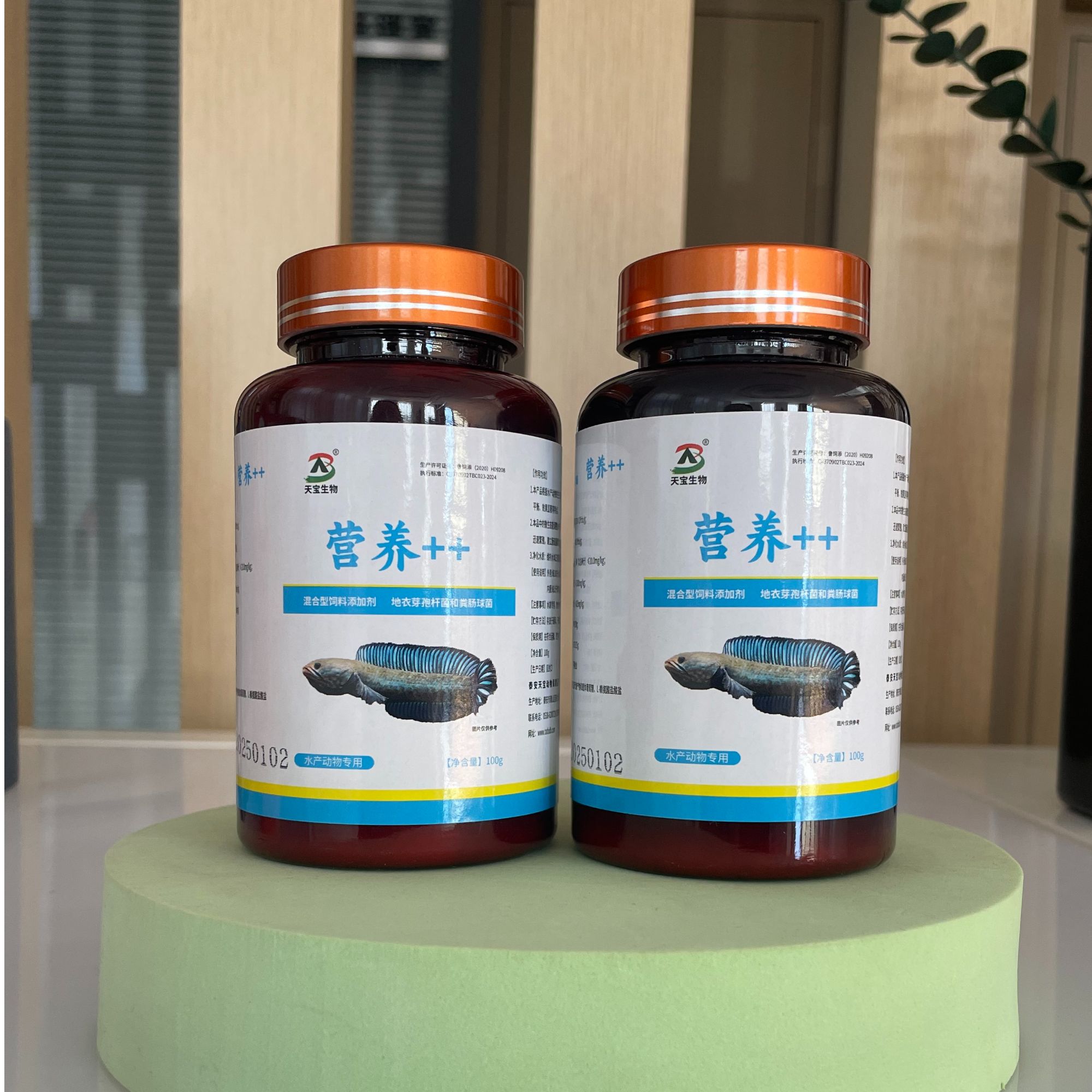 营养加加天宝生物鱼是养殖益生菌微生态雷龙鱼水产100ml/瓶