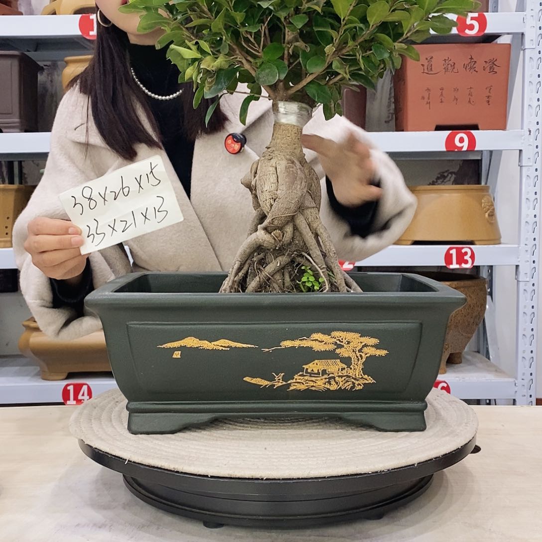 紫砂花盆紫砂花盆