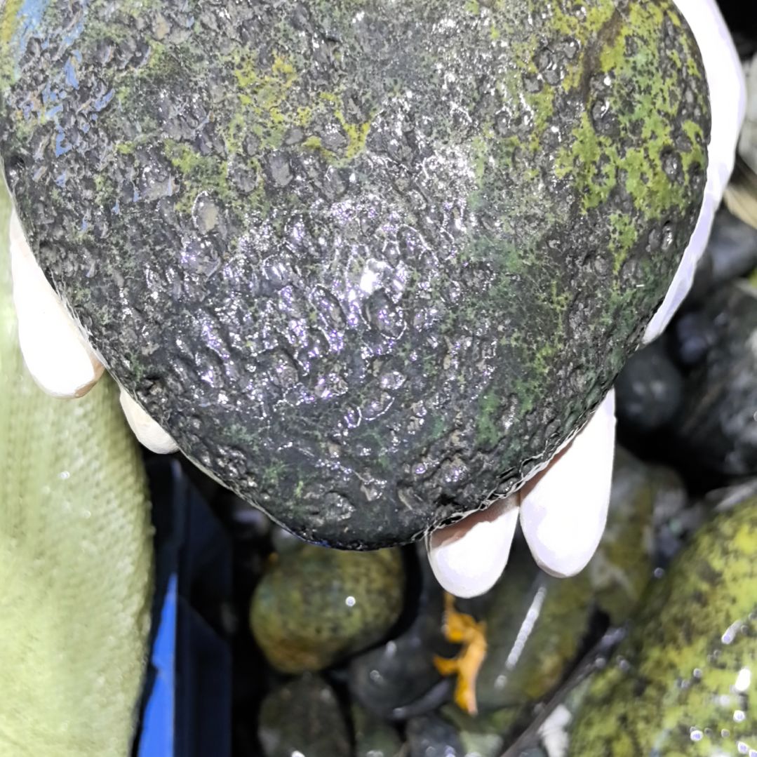用***5藏玉药王石原石一个摆件