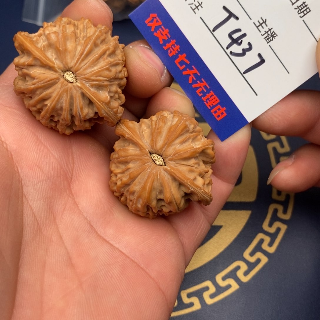 文玩核桃把件40磨盘437