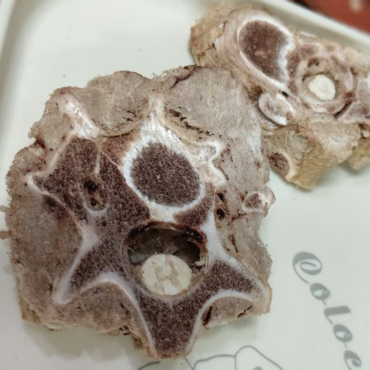 宠物零食冻干牛脊骨狗狗磨牙补钙训练奖励