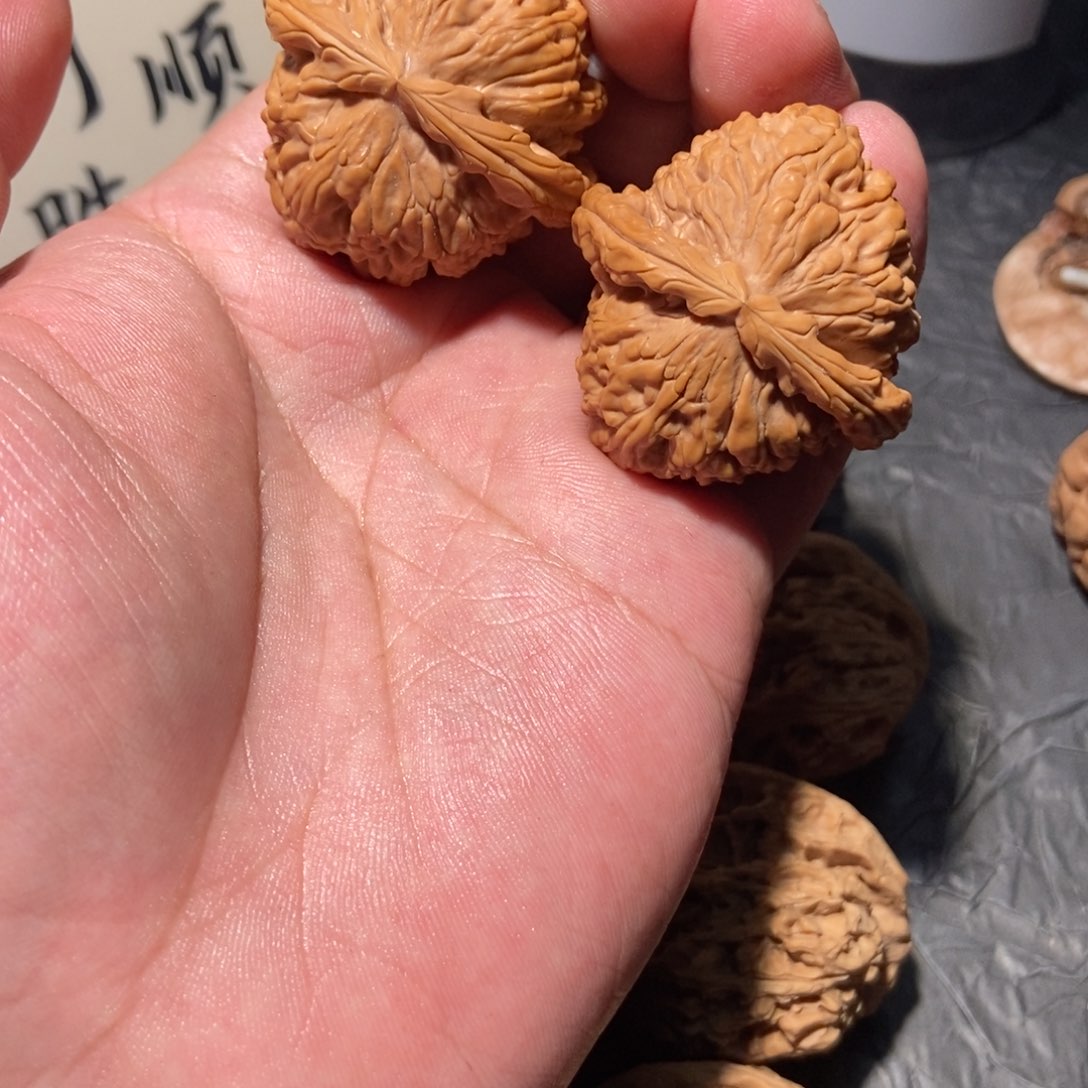 核桃其他白狮子39球白