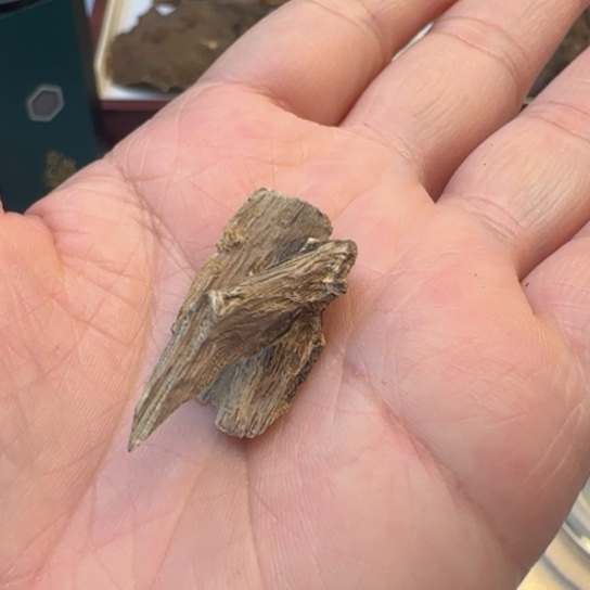 沉香摆件海南虎斑棋0.8克