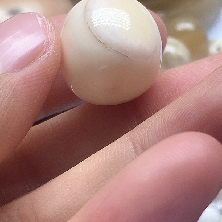 贝壳手串/手链16.4成16.1毫米皮肉老邢朱子