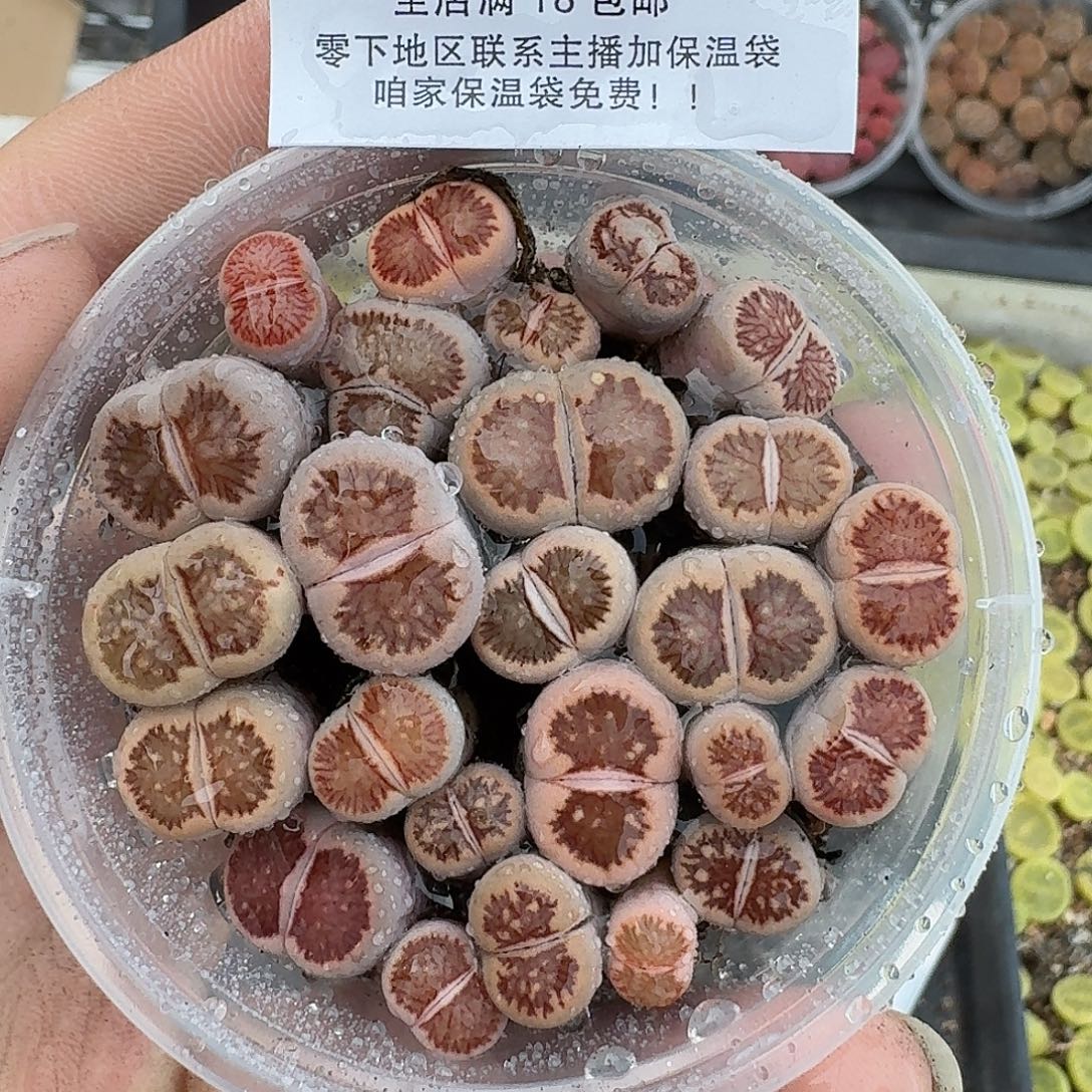 1963 哈哈哈哈哈哈哈哈哈哈哈