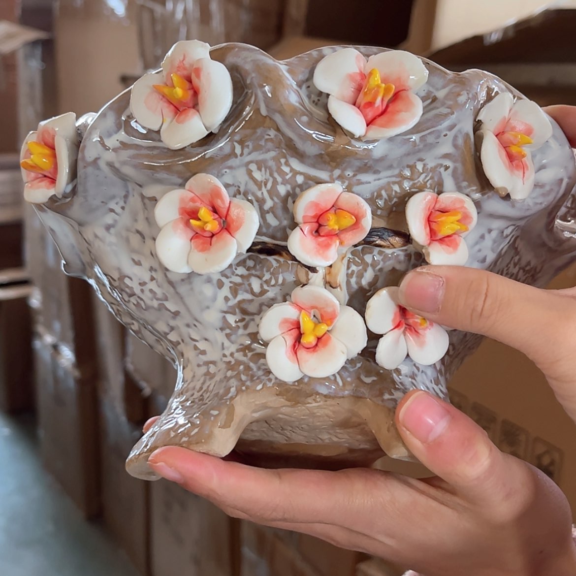 【闪购商品】红陶福利