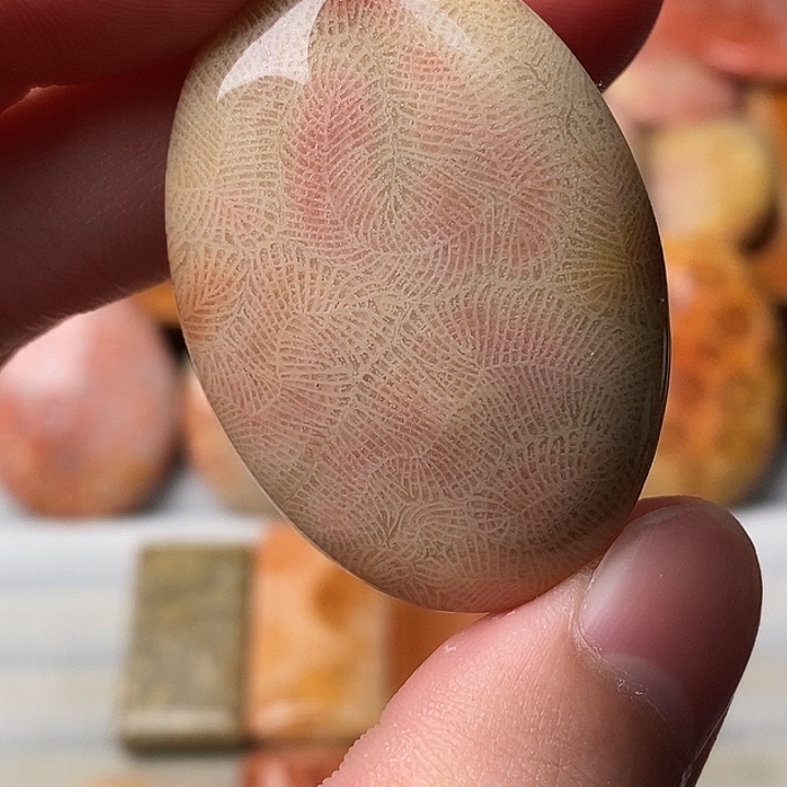 逆***薇硅化珊瑚未镶嵌颈饰