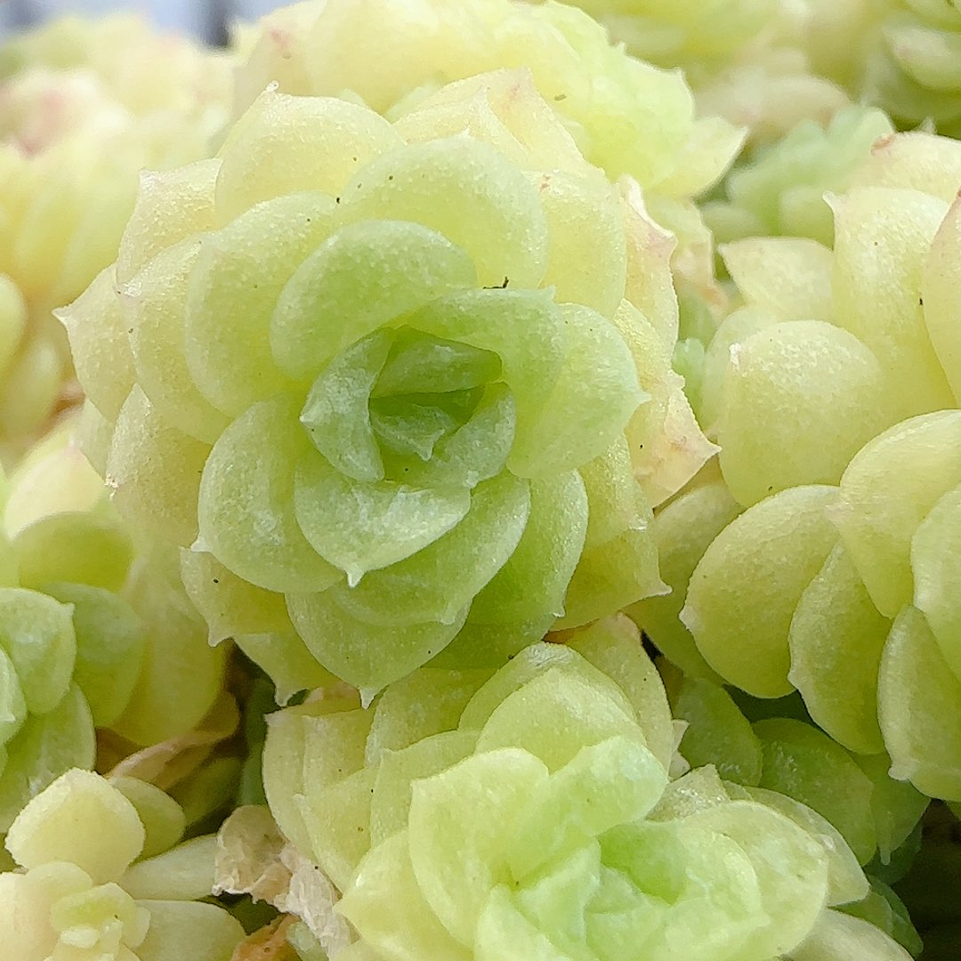 ****【闪购商品】0702-61散的