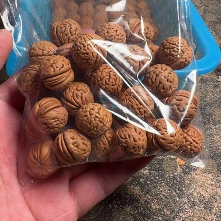 甲***贺桃核吊坠6666666666666