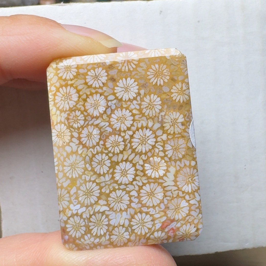硅化玉未镶嵌清晰的立体瓷片美花花