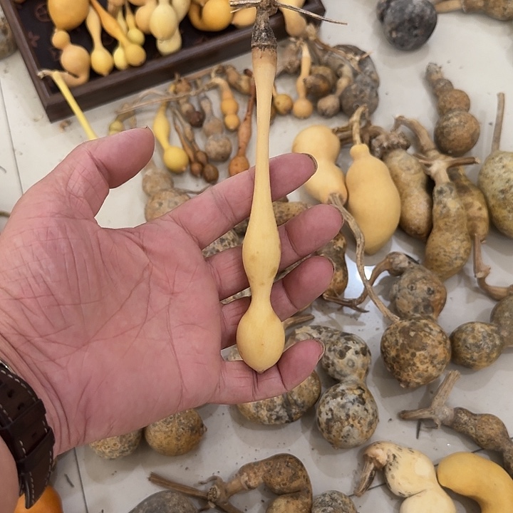 顺***溜木精品蚂蚁杆子葫芦