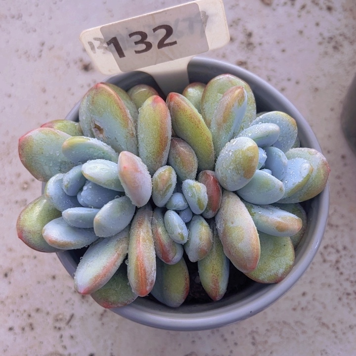 健健康康平平安安