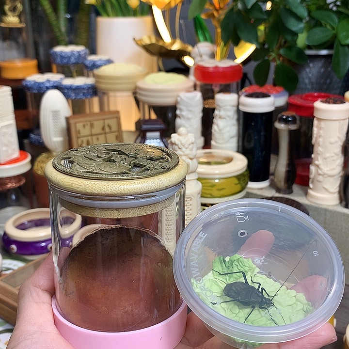 终***乾短须麒麟套装啊啊啊啊