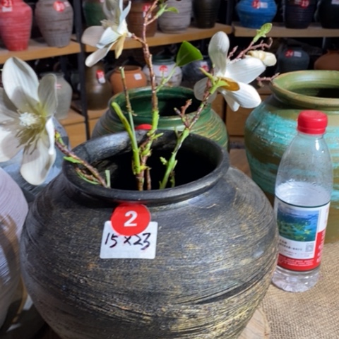 【闪购商品】正品新款