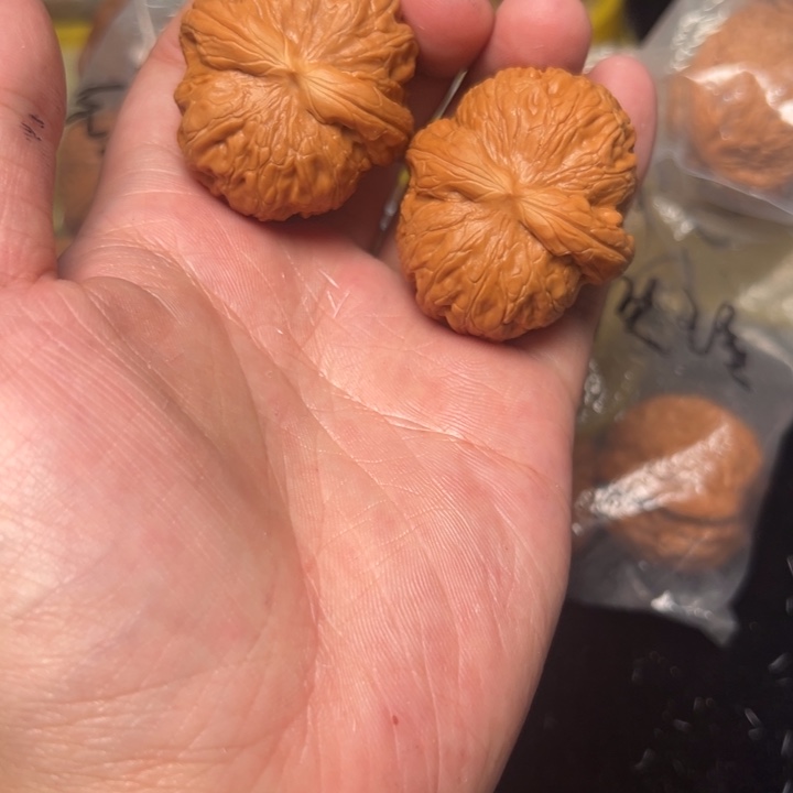 核桃41.5，元宝，已打底